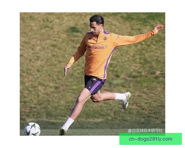 曼德拉戈拉：在成熟的岁月中勇担责任